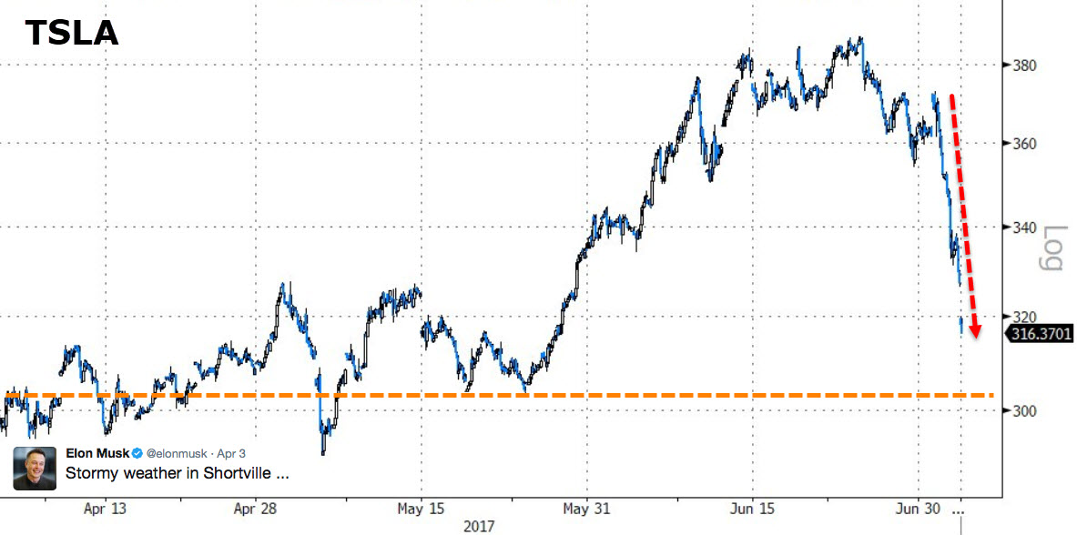 Der USA Bären-Thread 999834