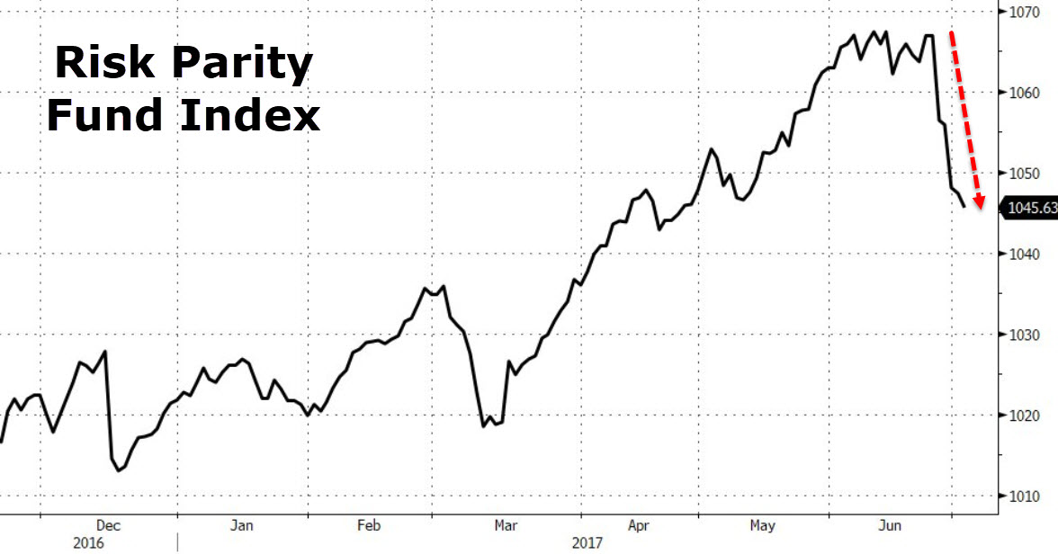 Der USA Bären-Thread 999858