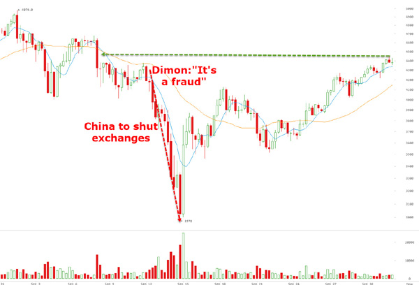 Der USA Bären-Thread 1015597