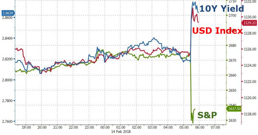 Der USA Bären-Thread 1040785