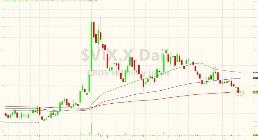 Der USA Bären-Thread 1053941