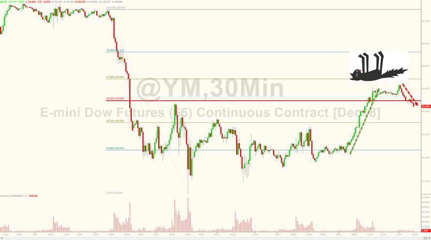 Der USA Bären-Thread 1078739