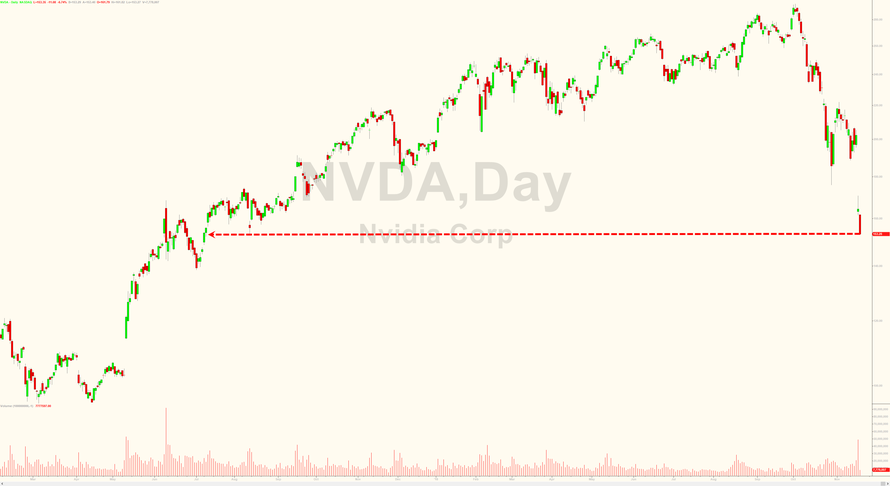 Der USA Bären-Thread 1083616