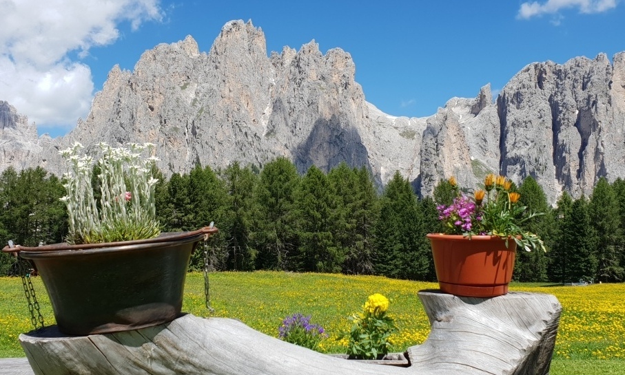 3.363.DAX Tipp-Spiel, Montag, 02.07.2018,17.45 H 1062069