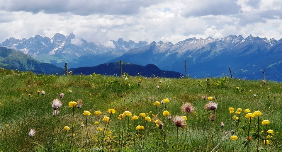 3.365.DAX Tipp-Spiel, Mittwoch, 04.07.2018,17.45 H 1062780