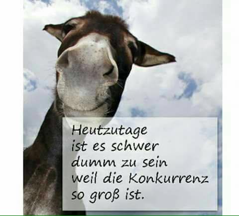 Milliarden-Gold-Unternehmen mit High Grades! 1067543