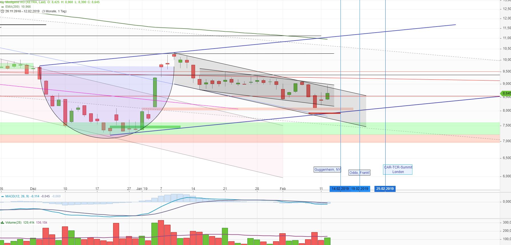 Medigene - Kurse/Quatschen/Charts/Einzeiler..u.s.w. 1096505