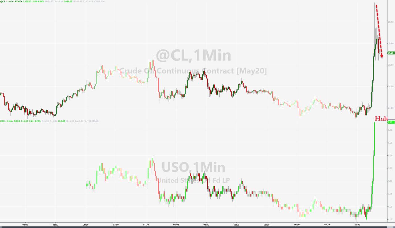 Der USA Bären-Thread 1171549