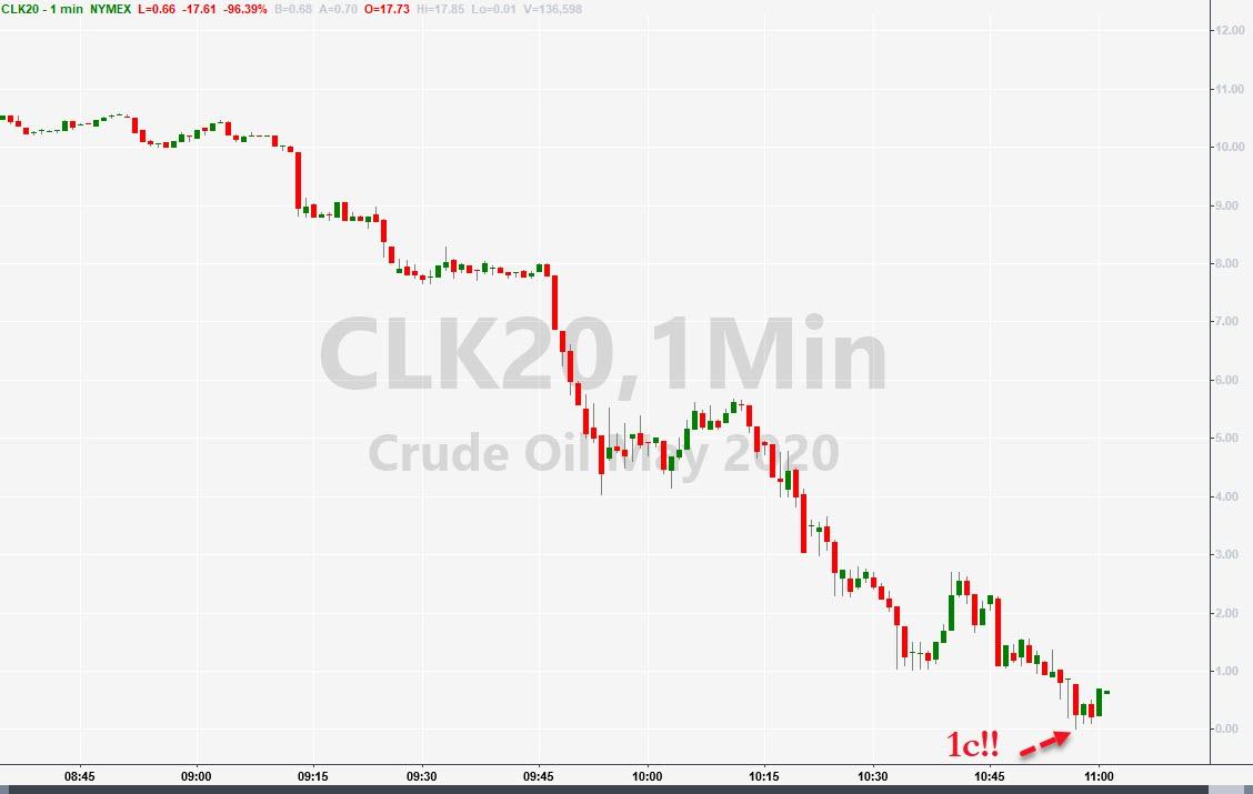 Der USA Bären-Thread 1173541