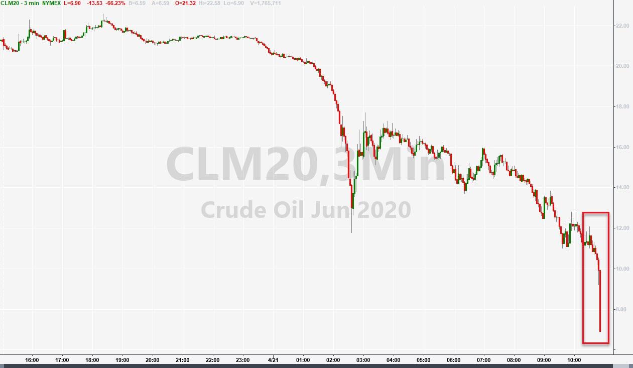 Der USA Bären-Thread 1173770
