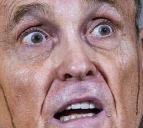 Der USA Bären-Thread 1215002