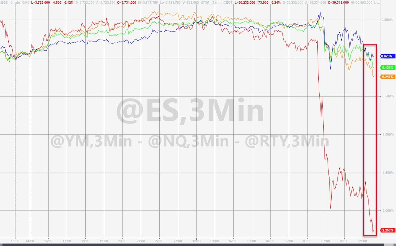 Der USA Bären-Thread 1222907