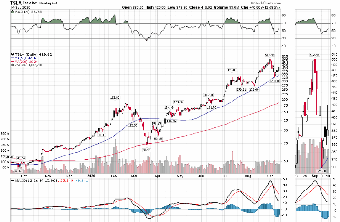 Der USA Bären-Thread 1201474