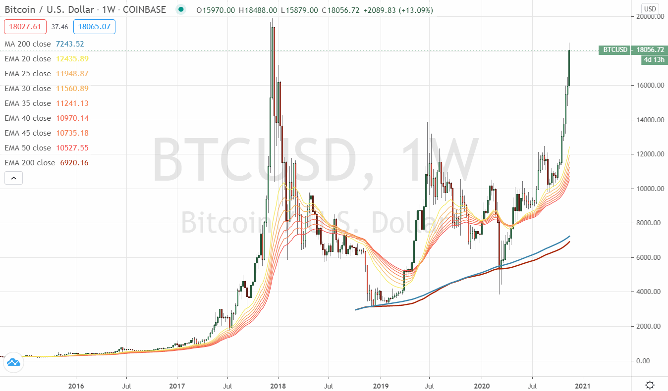 Der USA Bären-Thread 1214172