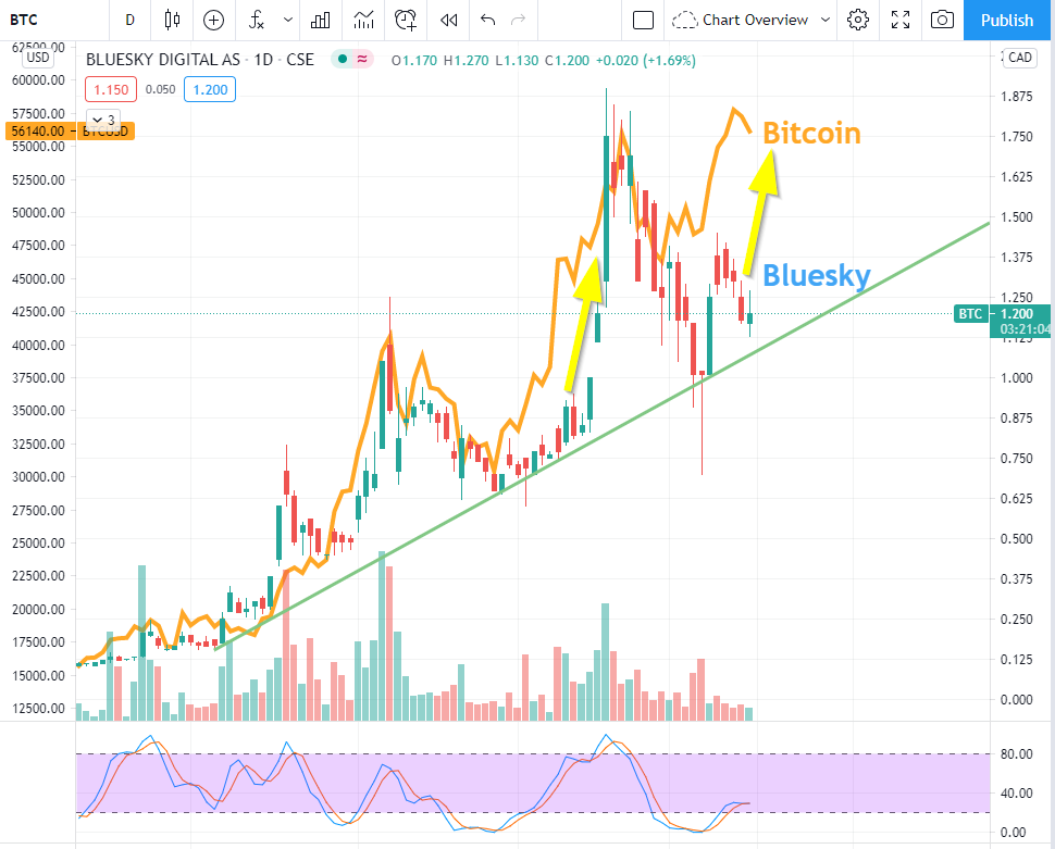 Silberperle! 1240244