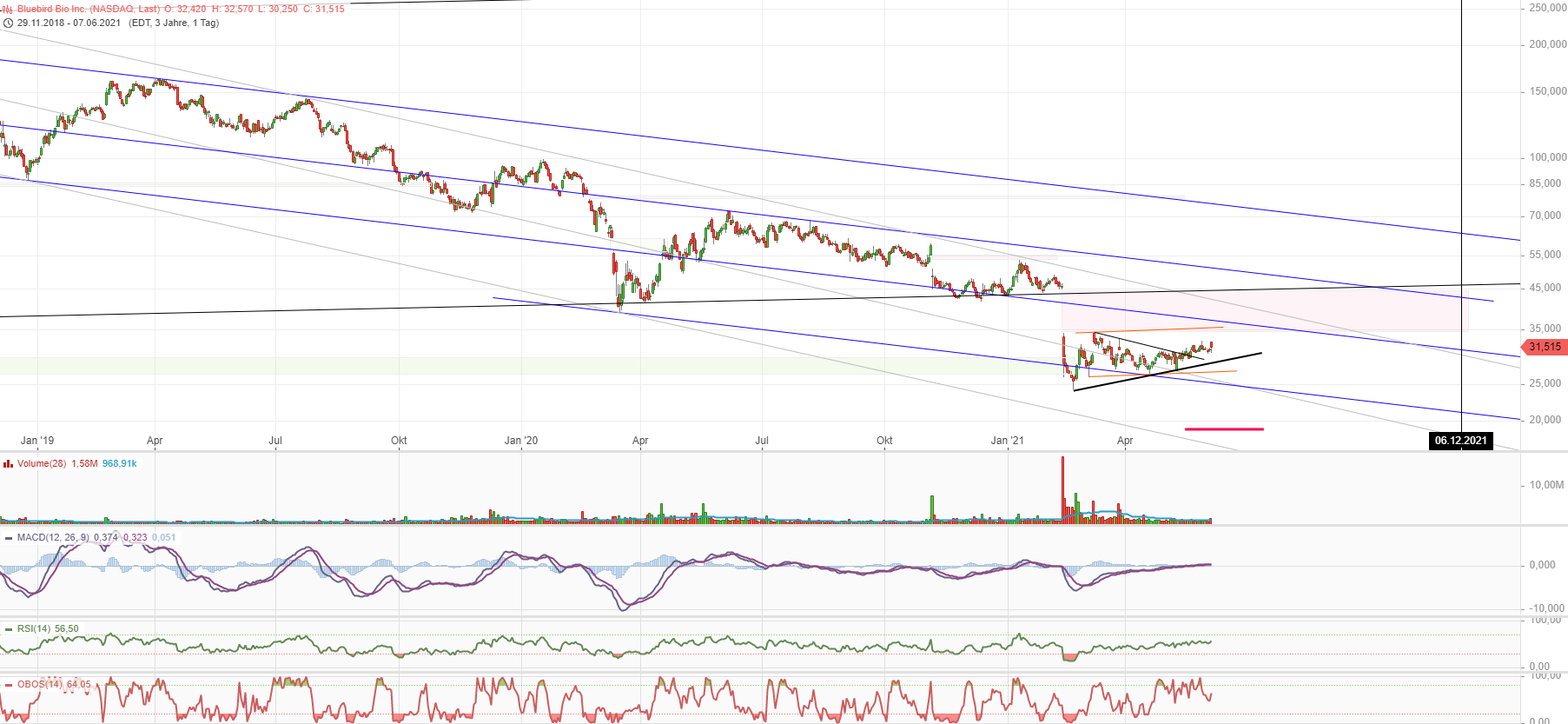 Bluebird Bio Inc ( BLUE ) 1257211