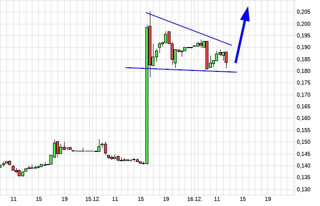 Steinhoff Informationsforum 1289075