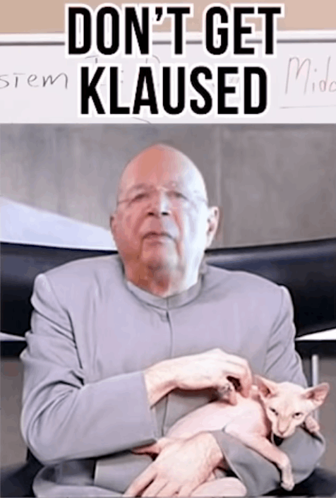 Der USA Bären-Thread 1223632