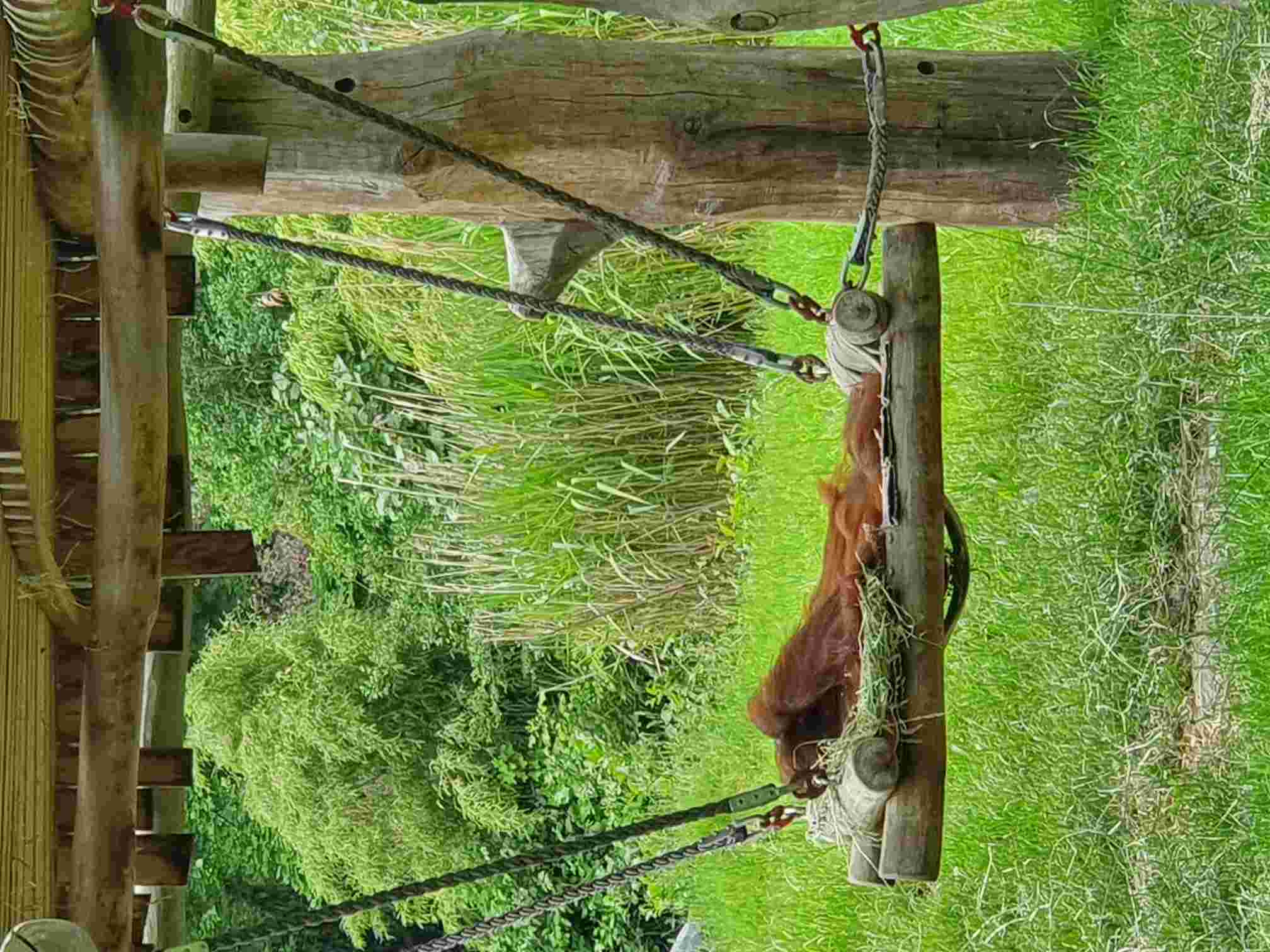 noch keiner hier interessiert... 1256549