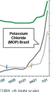 K+S wird unterschätzt 1269112