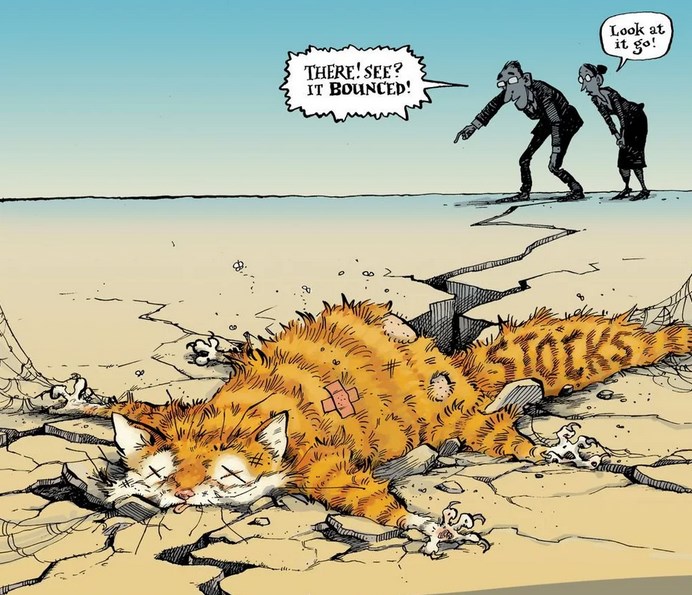 Der USA Bären-Thread 1313564