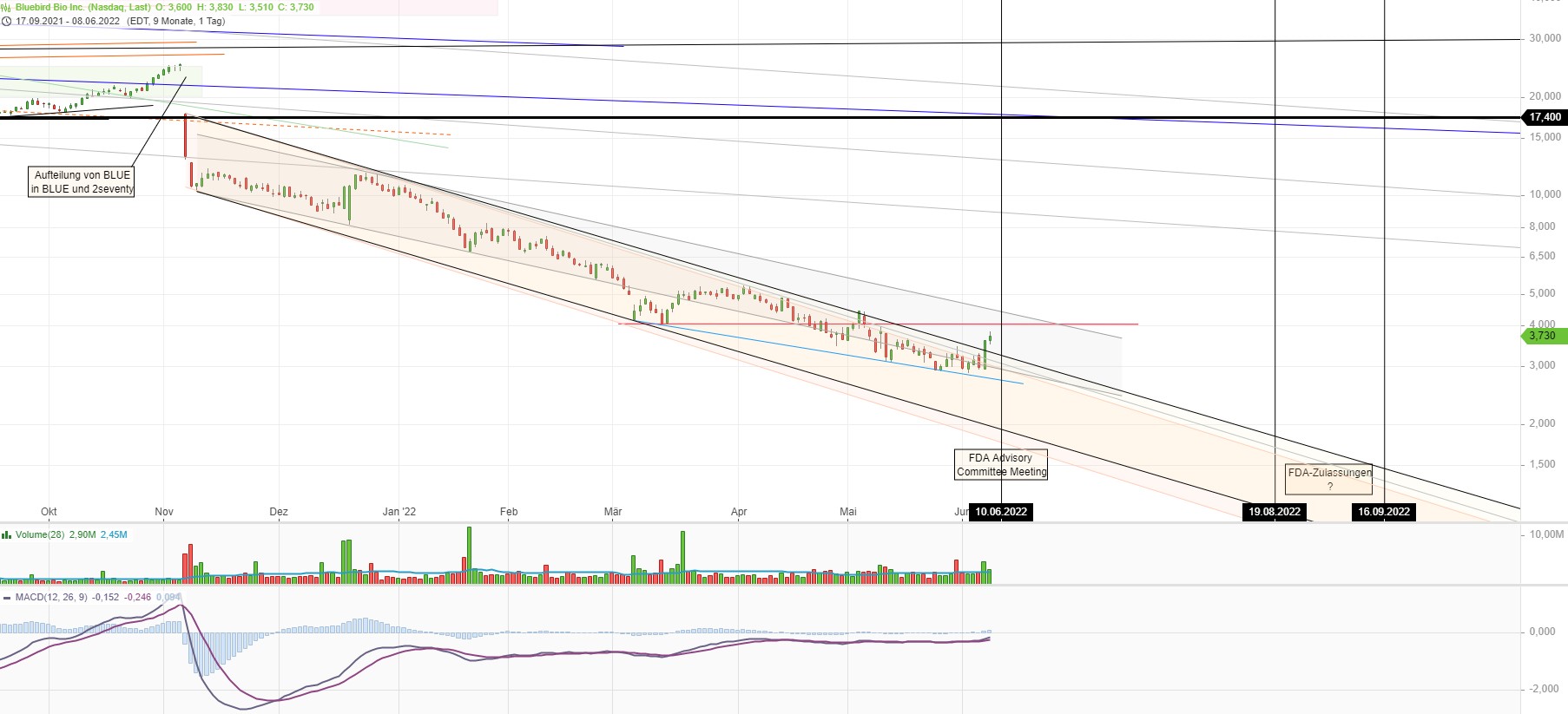 Bluebird Bio Inc ( BLUE ) 1318866