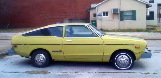 Der USA Bären-Thread 1328296