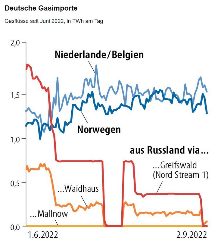 Der USA Bären-Thread 1331254