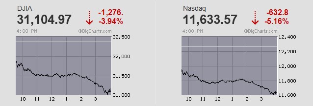 Der USA Bären-Thread 1332894