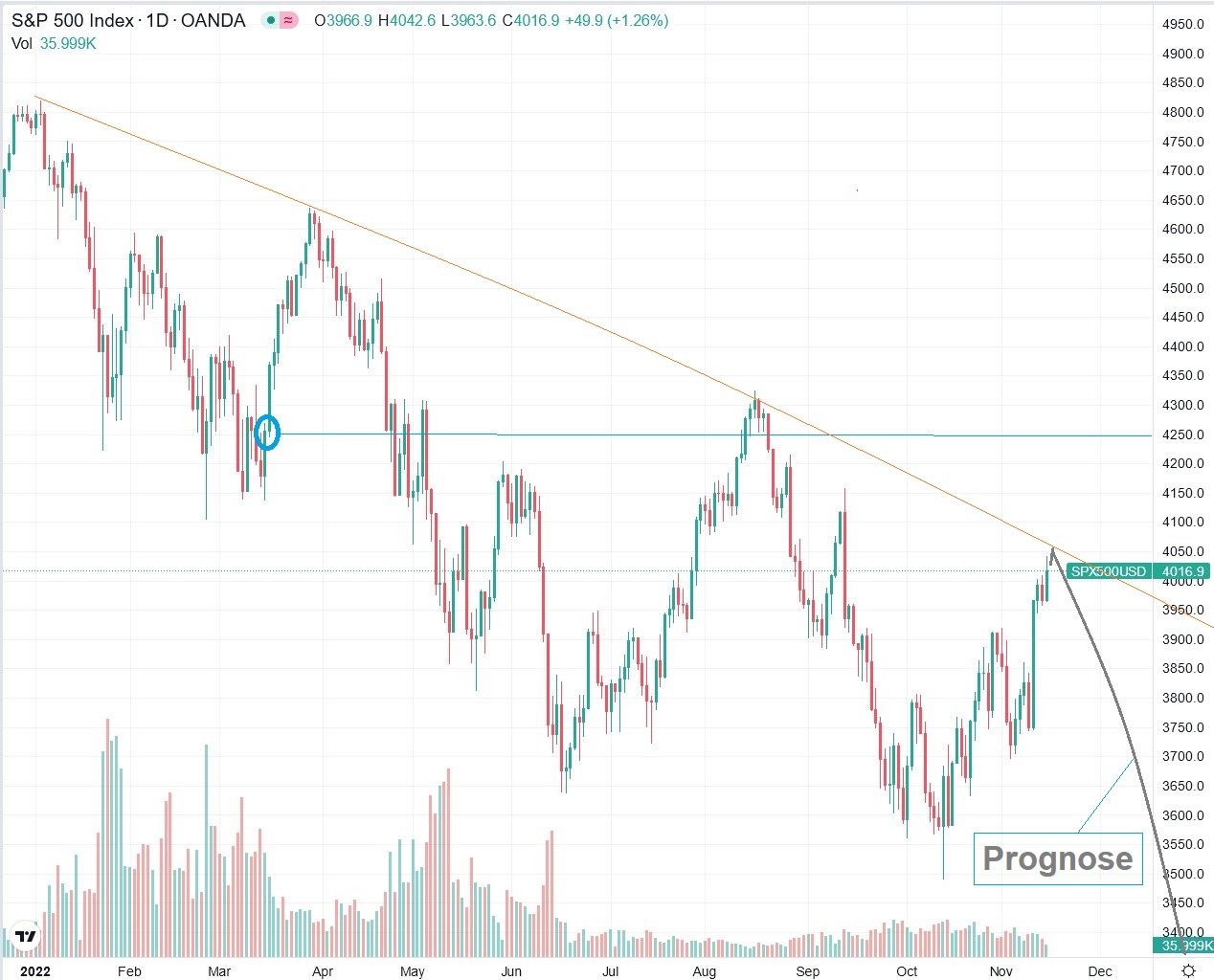 Der USA Bären-Thread 1342269
