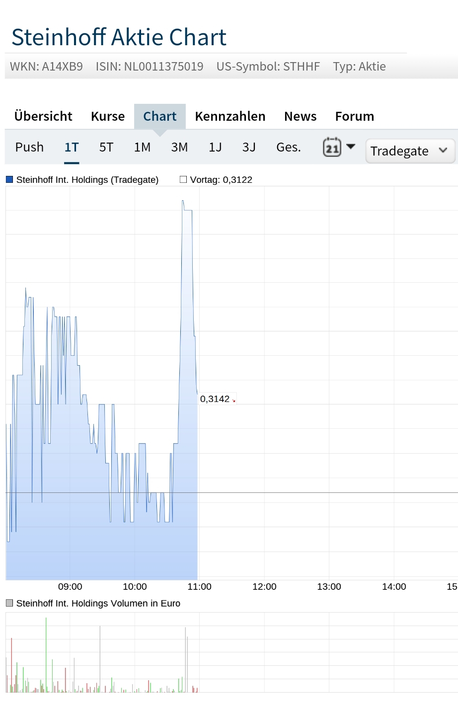 Steinhoff Informationsforum 1294207