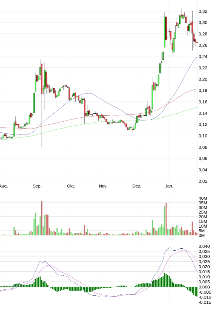 Steinhoff Informationsforum 1296351