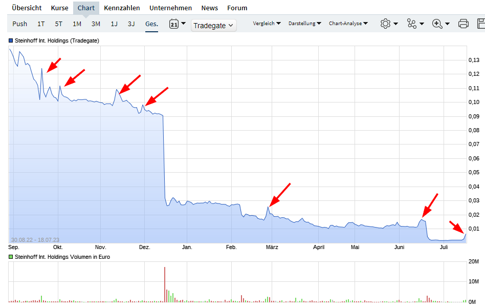 STEINHOFF Reinkarnation 1382147