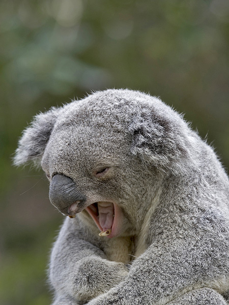 232.DAX Tipp-Spiel, Mittwoch, 8.3.06, 17.45 Uhr 32209