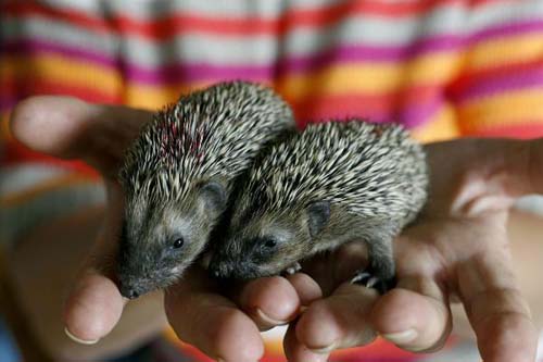 617.DAX Tipp-Spiel, Mittwoch, 12.09.07 119899