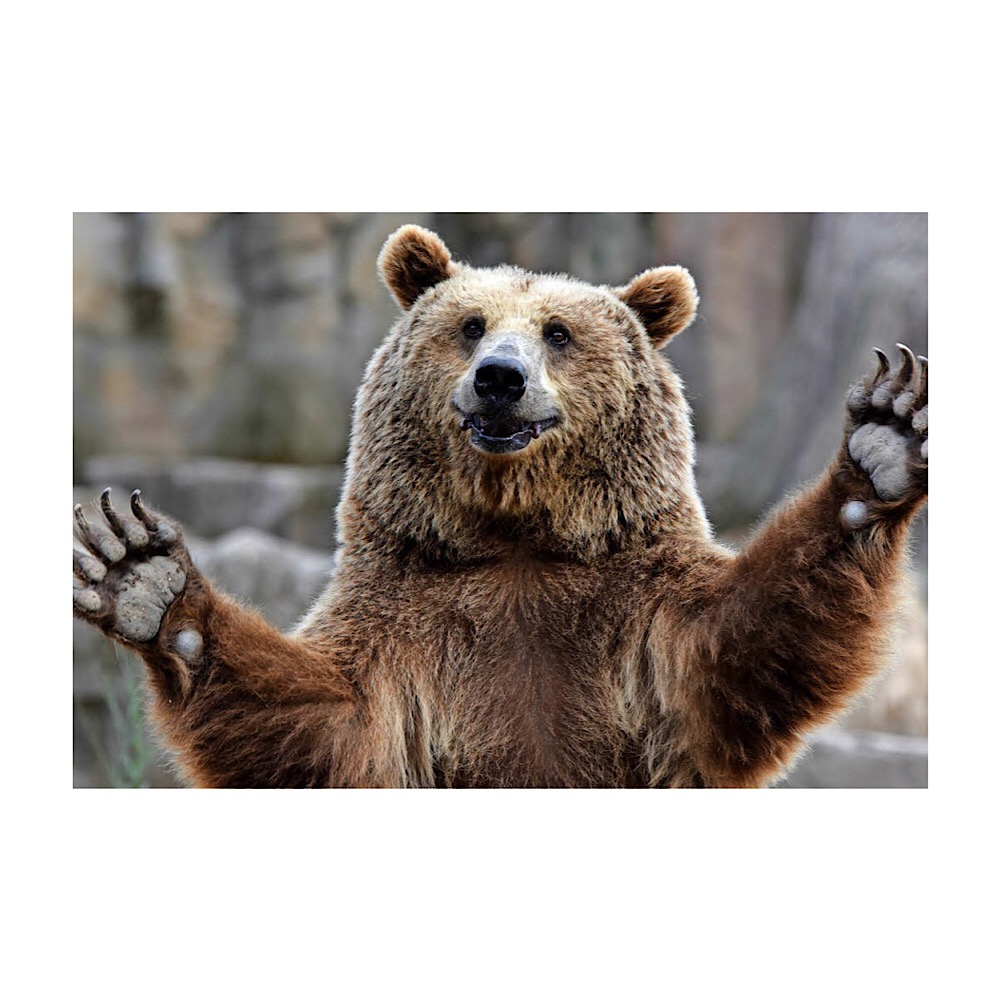 2019 QV-GDAXi-DJ-GOLD-EURUSD- JPY 1090832