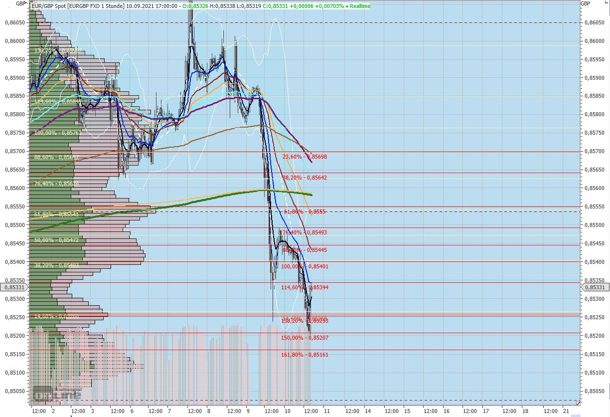 Gaertnerin's Boersen-Huesli 1273498