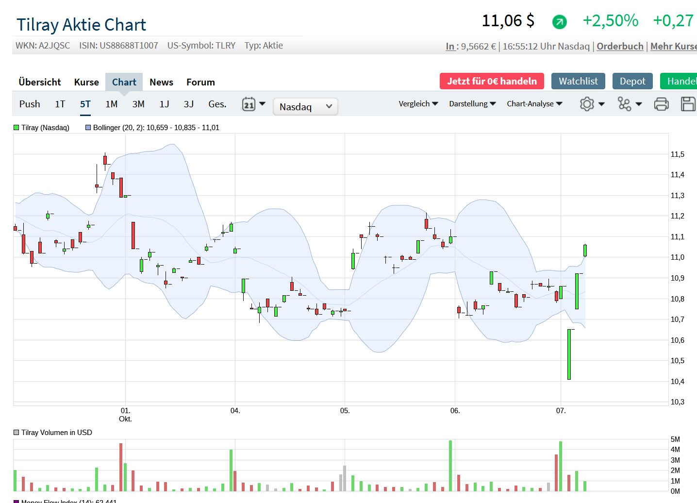 Gaertnerin's Boersen-Huesli 1277955