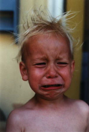 netcents, die neue online zahlungsplattform 1142987