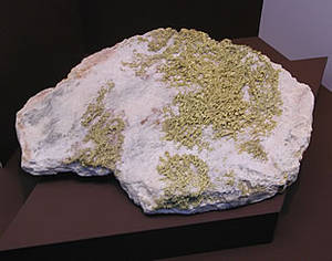 Ammex-Riesen Rebound 08! 149360