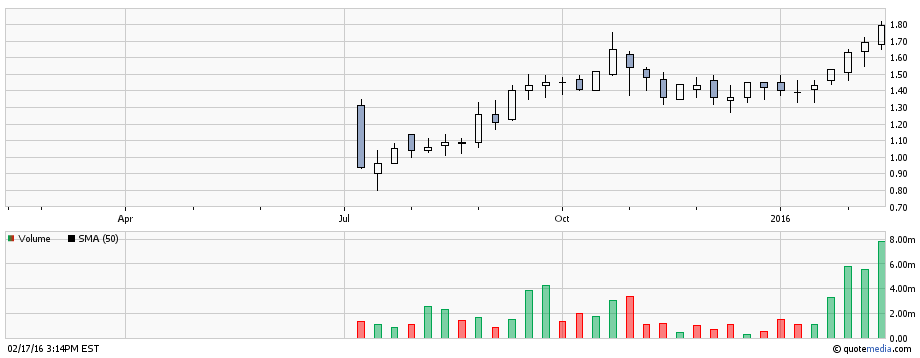 Newmarket Gold, hebt sie ab? 894778