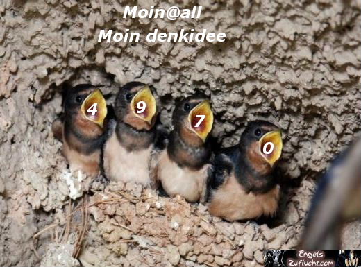 1044.DAX-Tipp-Spiel, Montag 25.05.09 234648