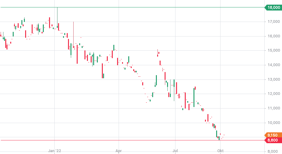 TRAUMHAUS AG INH O.N. - Aktie - 1337362