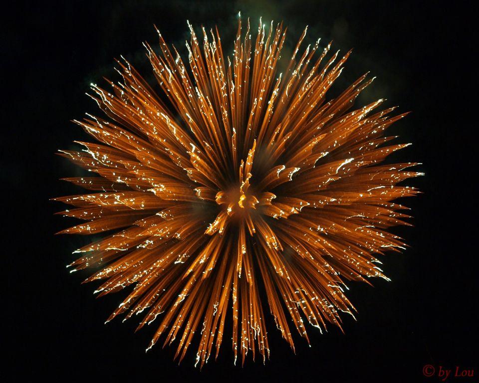 Der Weg weisst Richtung Champions-League 816080