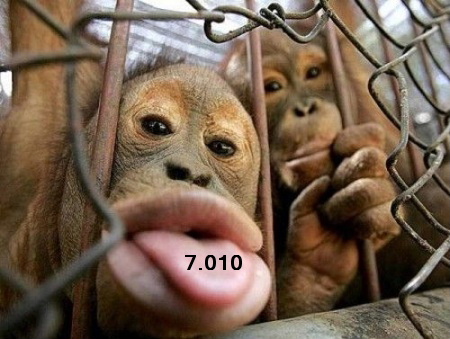 792.DAX Tipp-Spiel, Montag, 26.05.08, 17.45 Uhr 165287