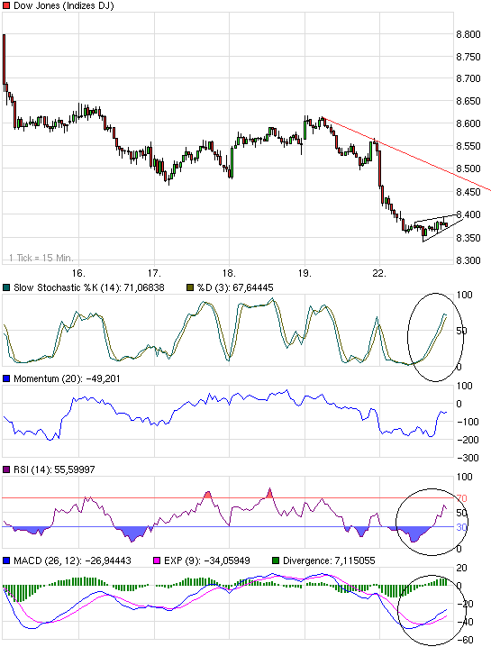 Quo Vadis Dax 2009 240415