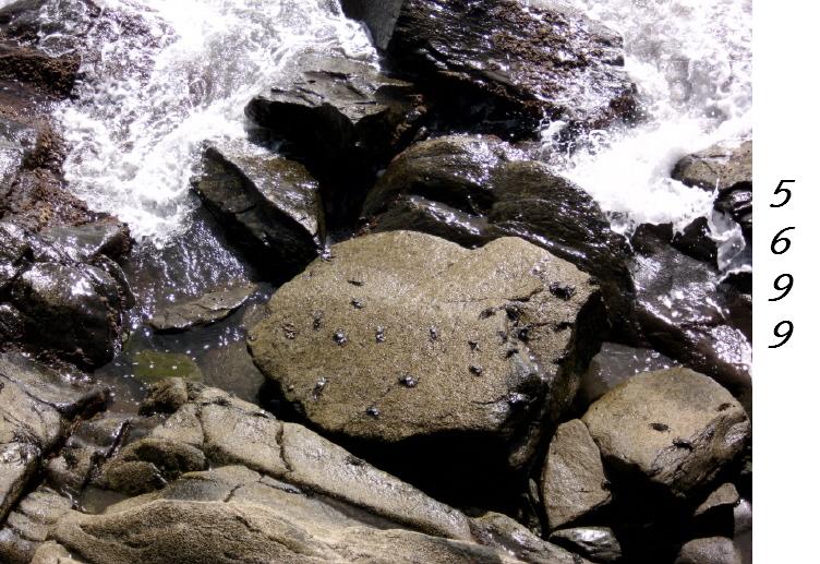 Die Links zu den Sternenkinder (DAX Spiel) 294401