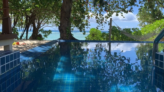 Börse ein Haifischbecken: Trade was du siehst 1327666