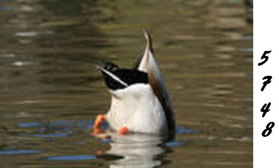 1.298.DAX Tipp-Spiel, Montag, 24.05.10, 322034