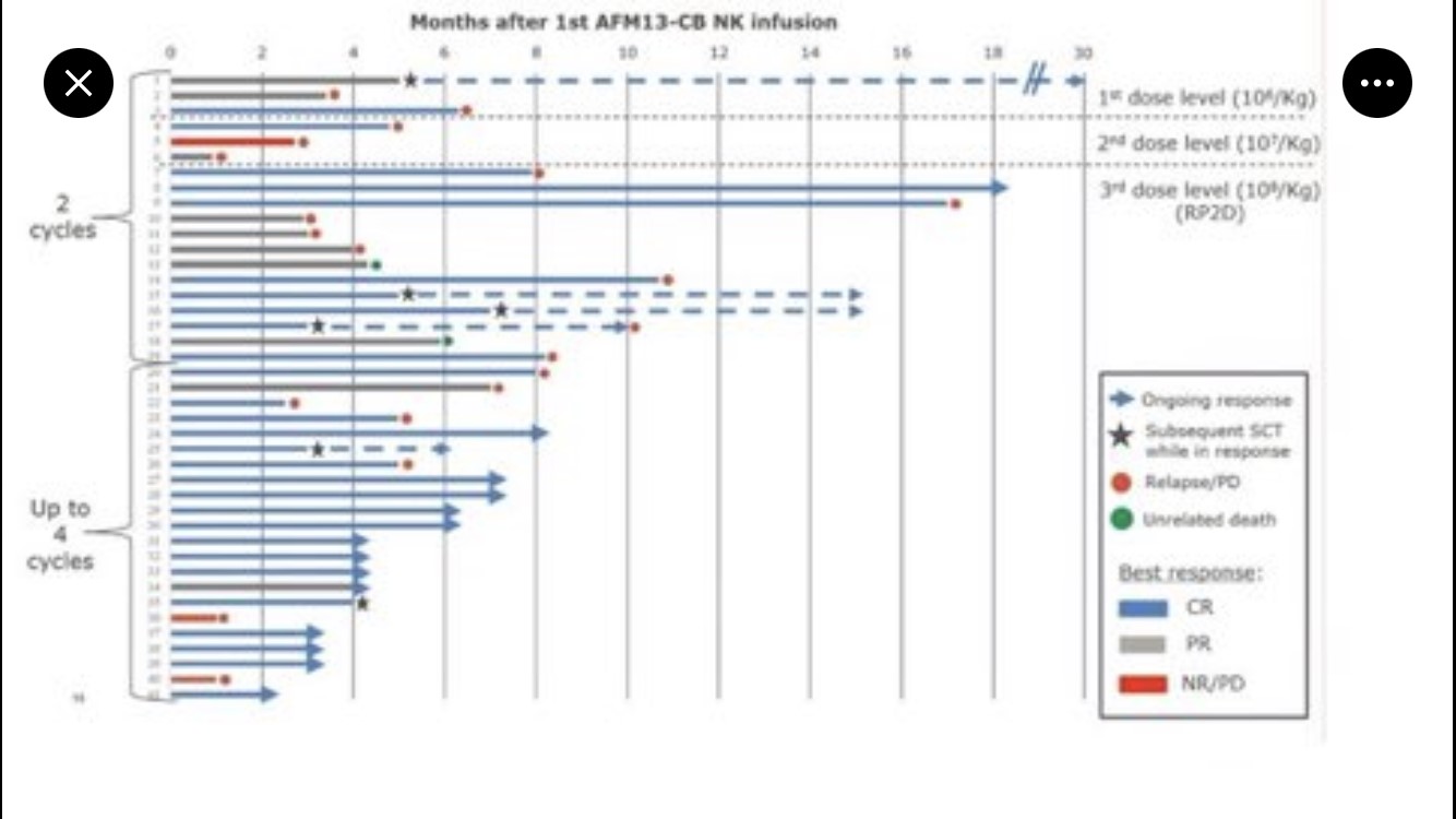 Affimed Therapeutics B.V. - AFMD 1392812